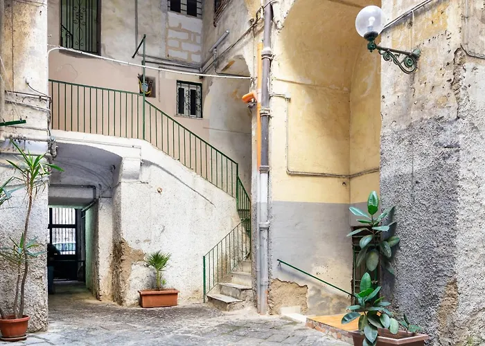 Guesthost - Oui Tree * Napoli