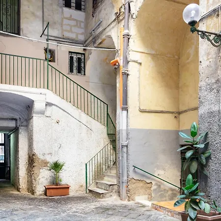 Guesthost - Oui Tree * Naples