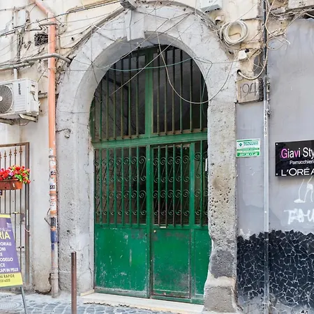 Guesthost - Oui Tree Neapel